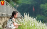 Điều kỳ diệu bên bờ sông Tô Lịch